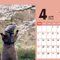 【ダウンロード版】カワウソコタロー&ハナ 卓上カレンダー2026