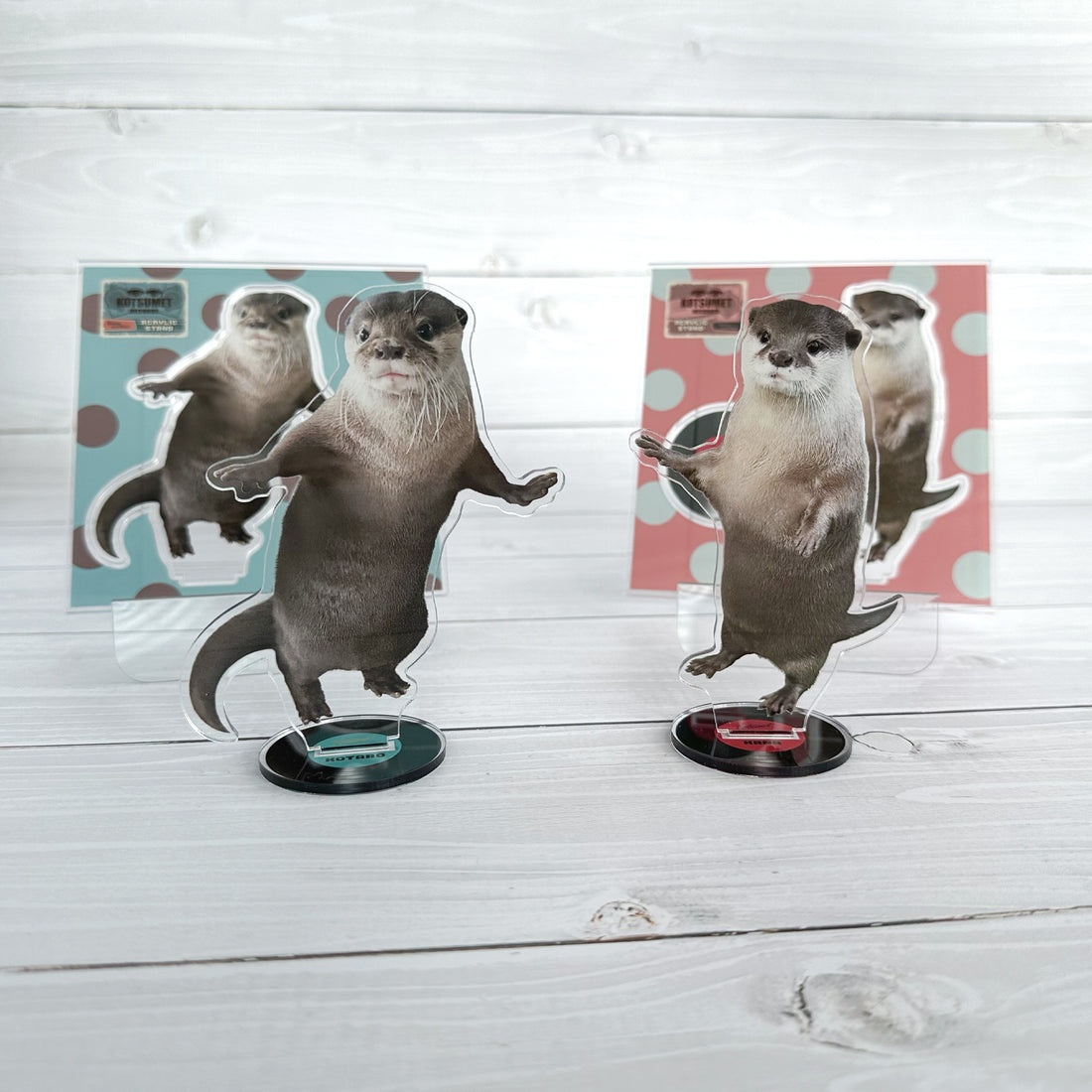 カワウソコタロー アクリルスタンド