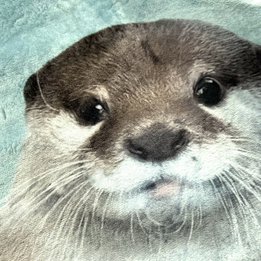 カワウソコタロー&ハナ ビッグブランケット