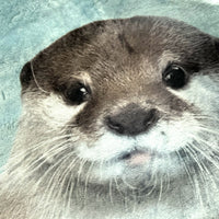 OTTER KOTARO&HANA BLANKET