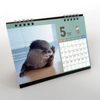 【NEW】カワウソコタロー&ハナ 卓上カレンダー2026