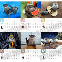 【ダウンロード版】カワウソコタロー&ハナ 壁掛けカレンダー2026