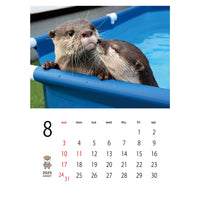 【ダウンロード版】カワウソコタロー&ハナ 壁掛けカレンダー2025