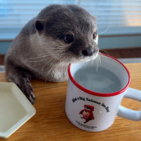 【NEW】Little Red Otter Hana Round-Lip Mug