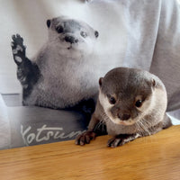 【NEW】Otter Hana Photo Hoodie – GRAY
