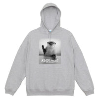 【NEW】カワウソハナ ビッグシルエットパーカー GRAY