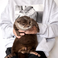 【NEW】Otter Kotaro Photo Hoodie – GRAY