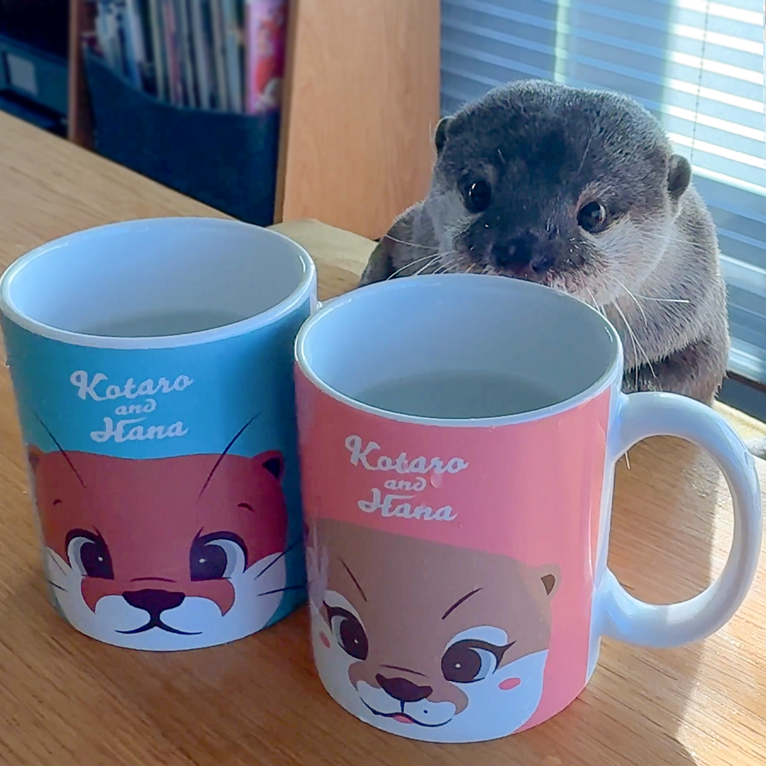 カワウソハナ マグカップ