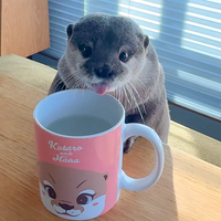 カワウソハナ マグカップ