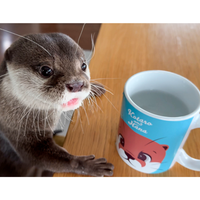 カワウソコタロー マグカップ