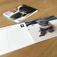 カワウソコタロー ポストカードブック