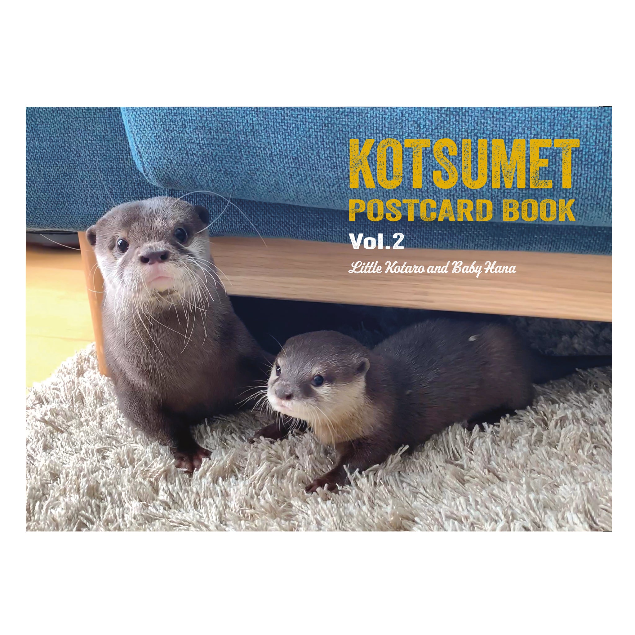 ポストカードフォトブック Vol.2 ベビーハナ＆チビコタ編 – KOTSUMET