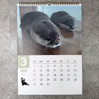 【NEW】カワウソコタロー&ハナ 壁掛けカレンダー2026