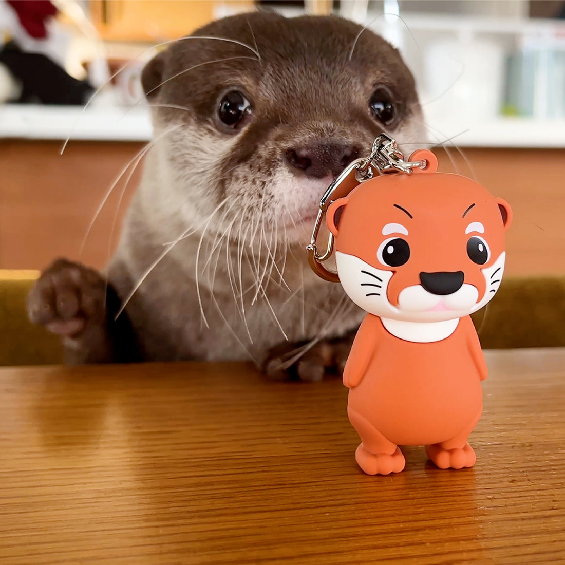 カワウソコタロー マスコットキー