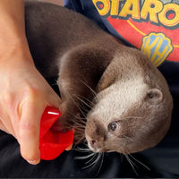 カワウソハナのカナビラとコインケースセット
