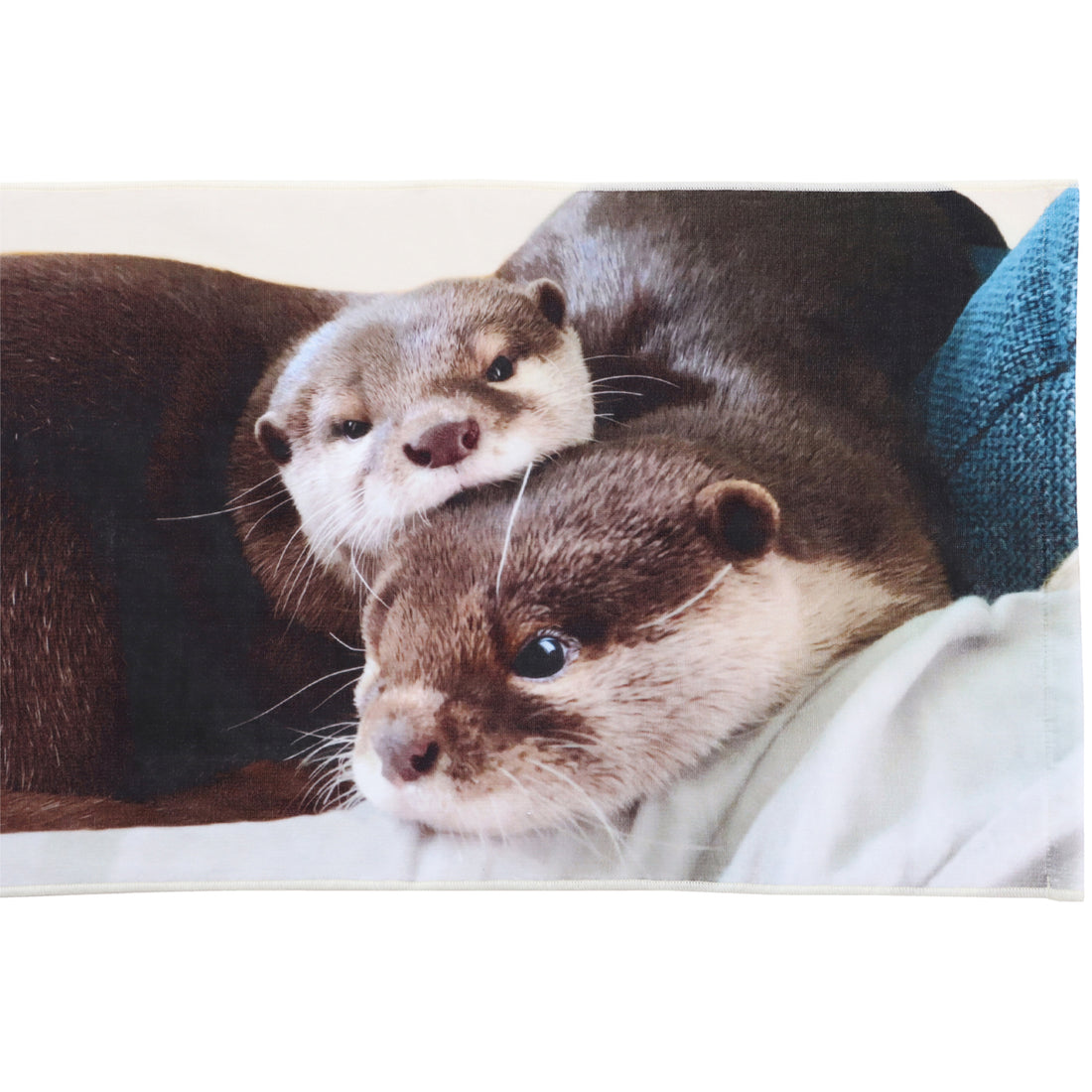 カワウソコタローとハナ スポーツタオル