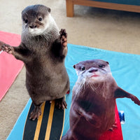 カワウソコタロー バスタオル