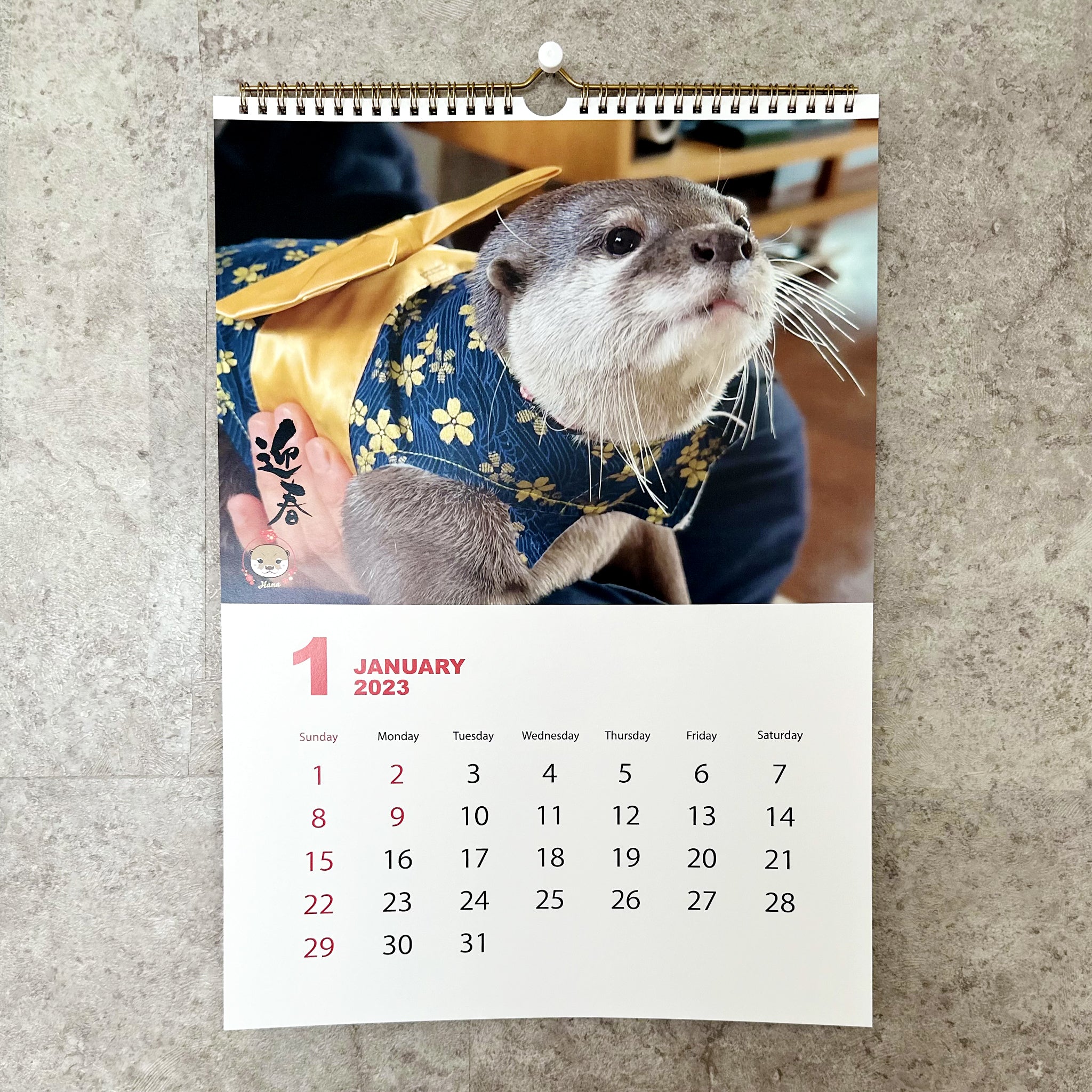 OTTER KOTARO&HANA 2023 WALL CALENDAR – KOTSUMET OFFICIALSTORE