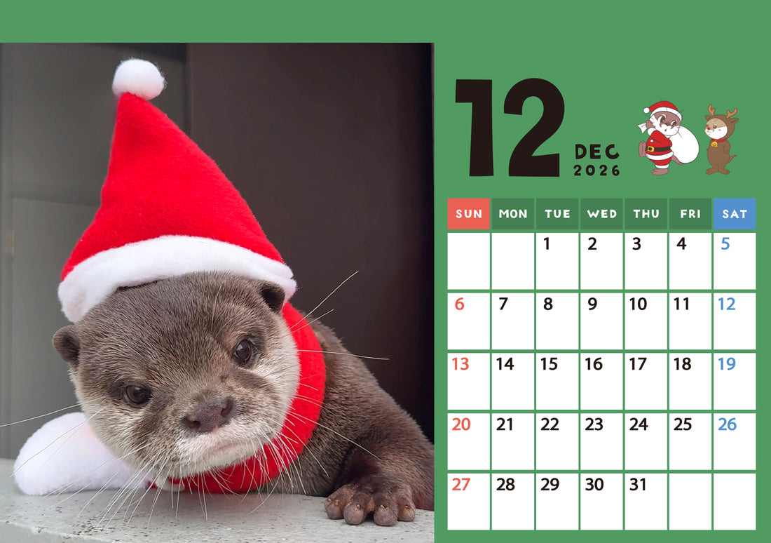 【ダウンロード版】カワウソコタロー＆ハナ 卓上カレンダー2026