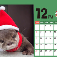 【ダウンロード版】カワウソコタロー＆ハナ 卓上カレンダー2026