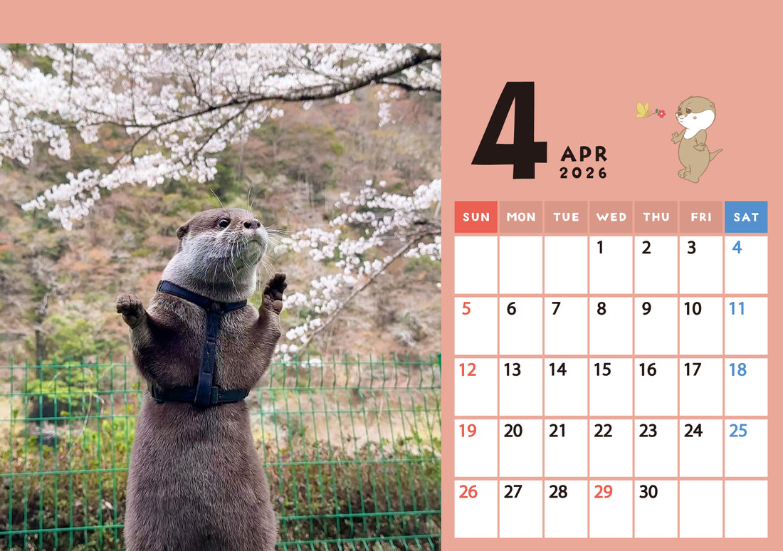 【ダウンロード版】カワウソコタロー＆ハナ 卓上カレンダー2026