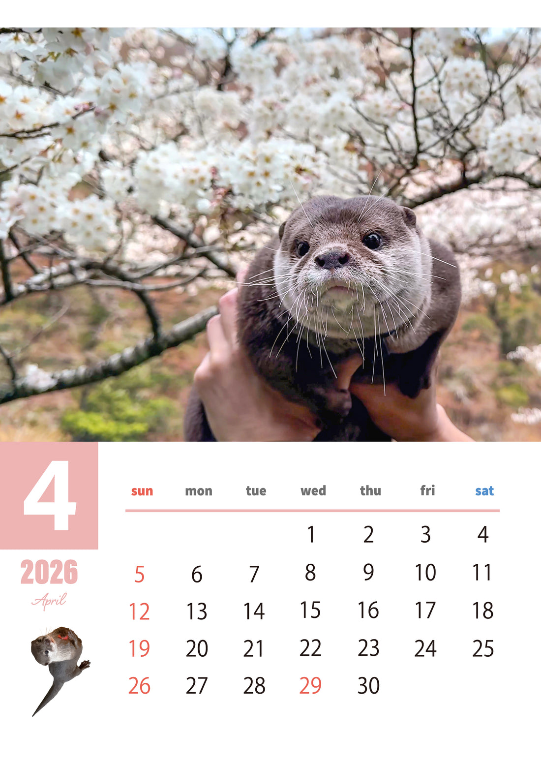【ダウンロード版】カワウソコタロー＆ハナ 壁掛けカレンダー2026