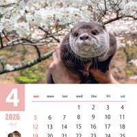 【ダウンロード版】カワウソコタロー＆ハナ 壁掛けカレンダー2026