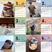 【ダウンロード版】カワウソコタロー＆ハナ 卓上カレンダー2026