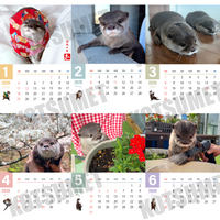 【ダウンロード版】カワウソコタロー＆ハナ 壁掛けカレンダー2026