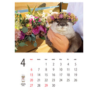 【DIGITAL DOWNLOAD】OTTER KOTARO & HANA 2025 WALL CALENDAR