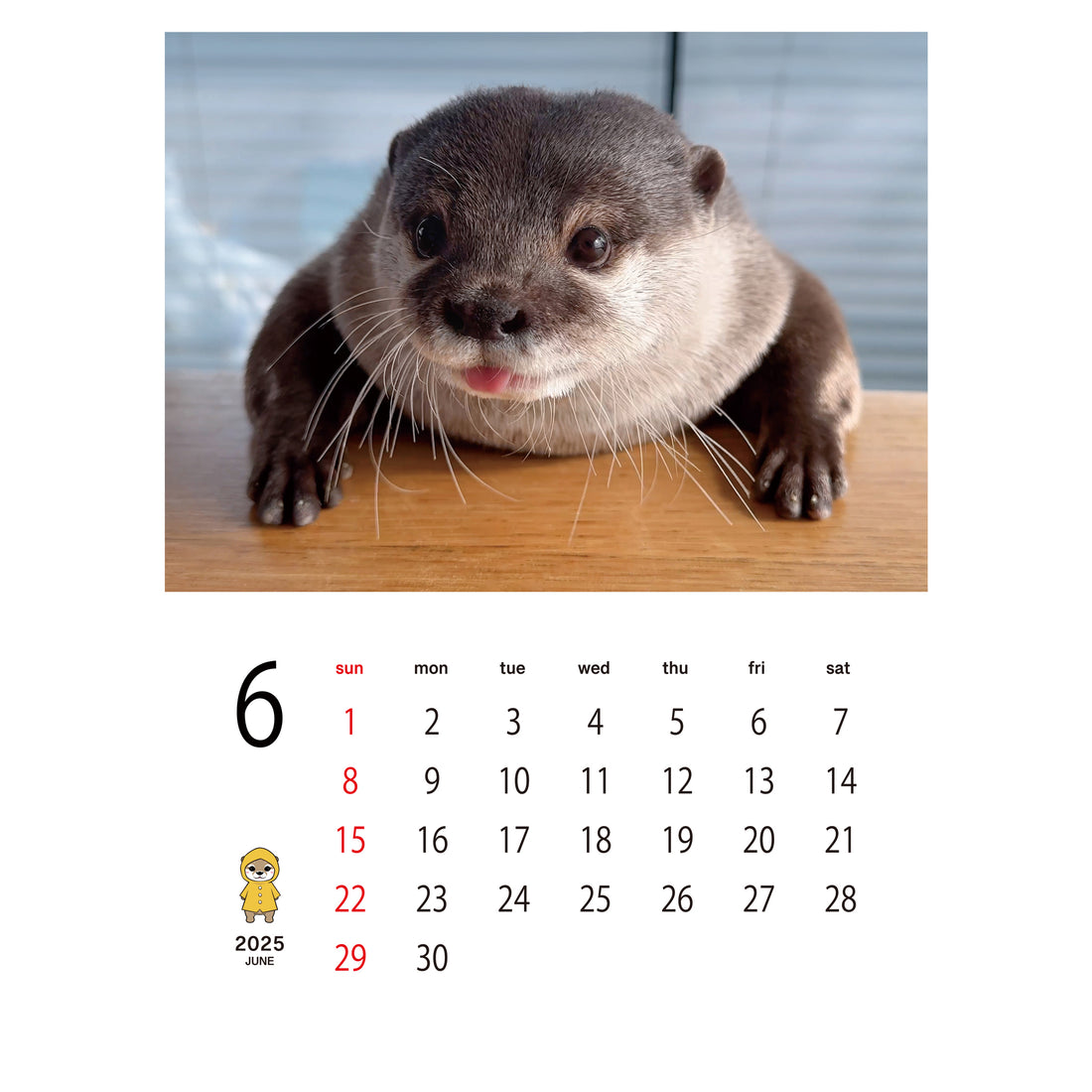 【DIGITAL DOWNLOAD】KOTARO & HANA 2025 WALL CALENDAR