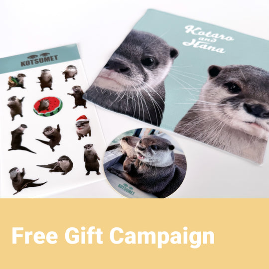 プレゼントキャンペーン！