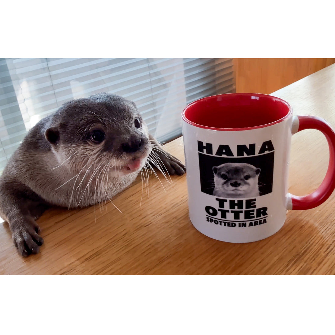 【NEW】HANA THE OTTER マグカップ