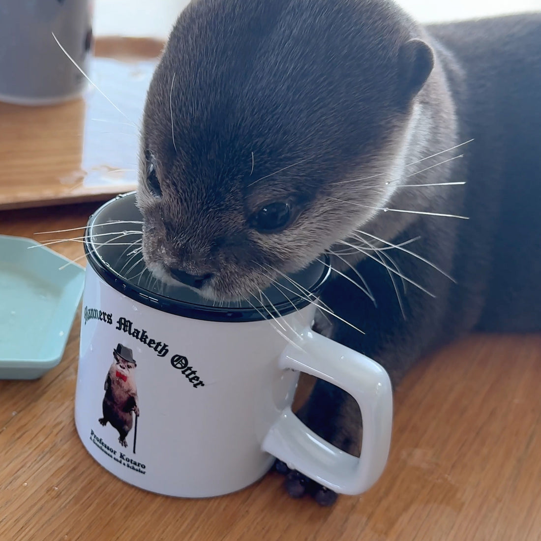 【NEW】Gentle Otter Kotaro Round-Lip Mug