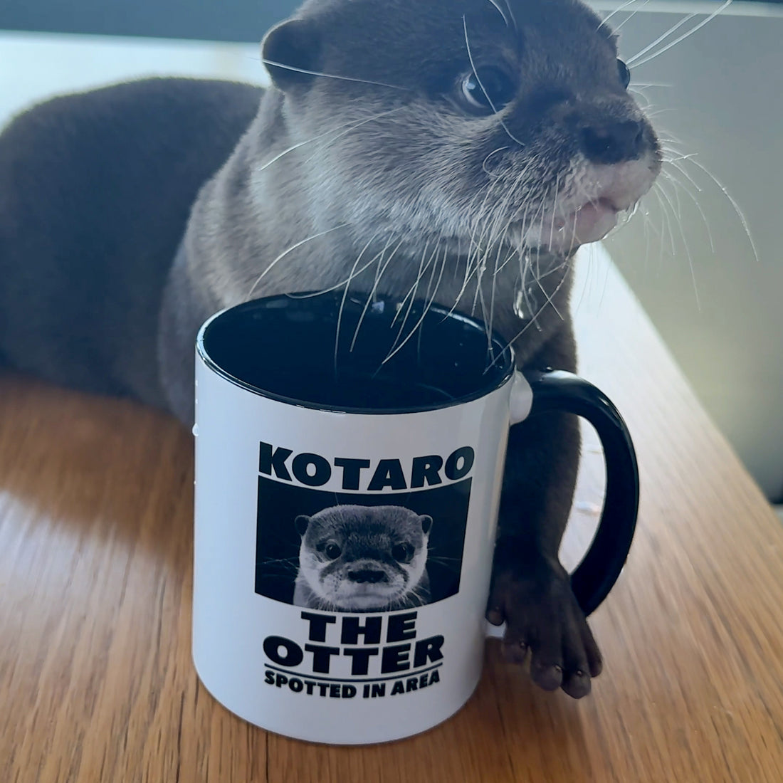 【NEW】KOTARO THE OTTER マグカップ