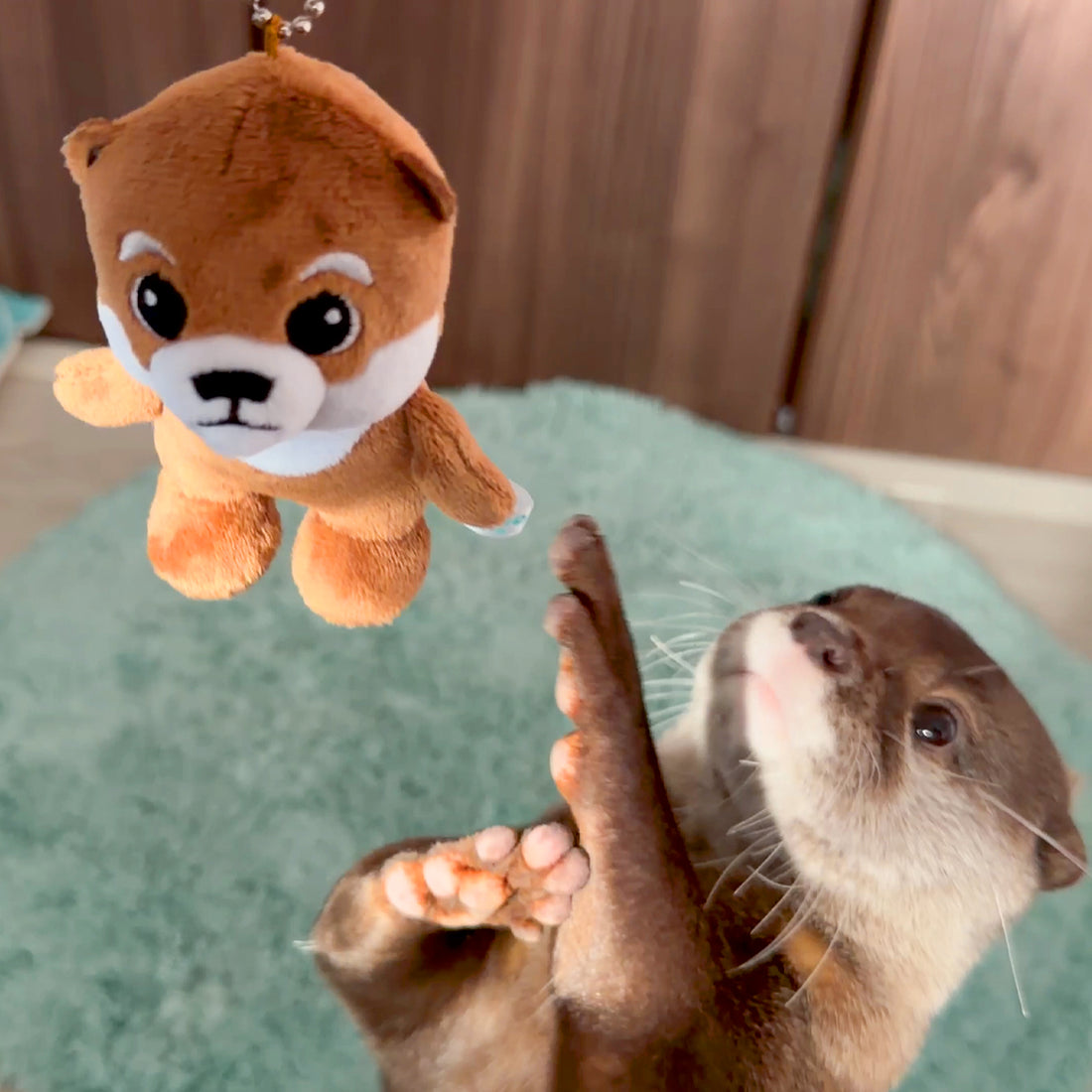 【NEW】Otter Kotaro Plush Mascot Keychain