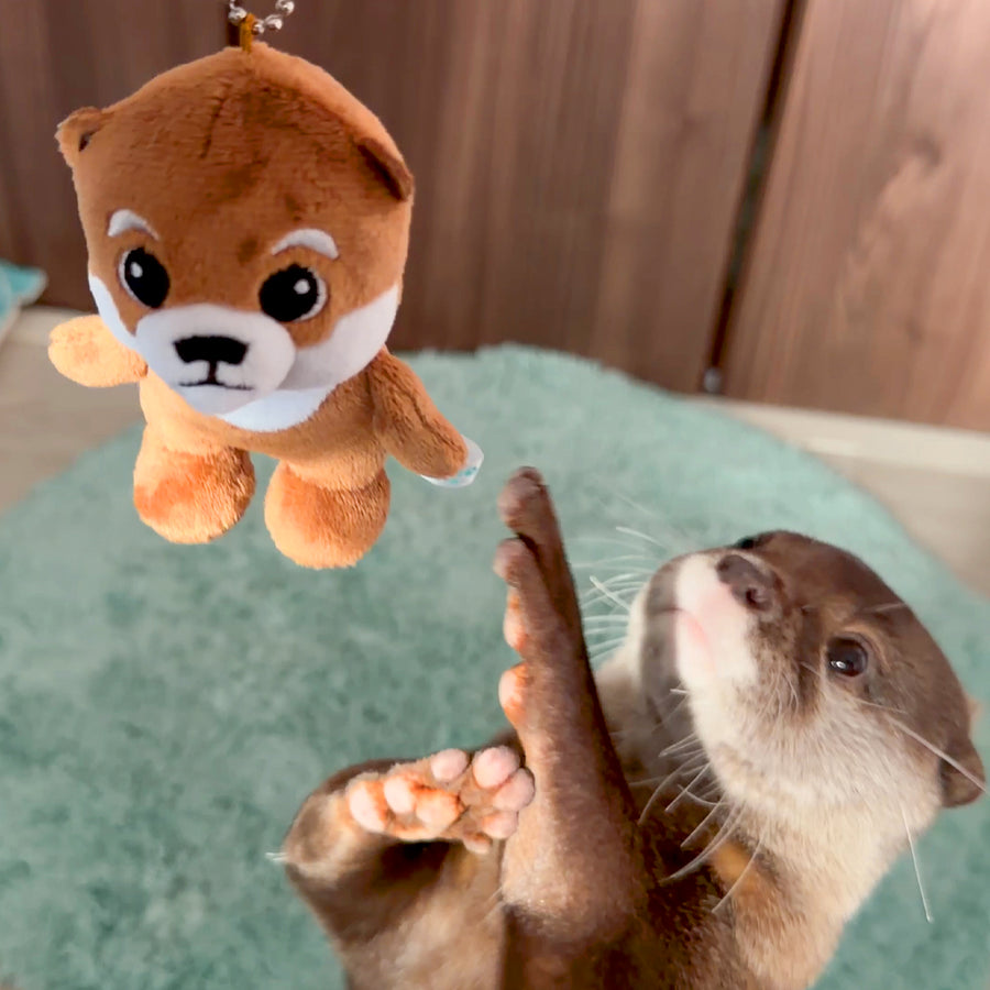 【NEW】Otter Kotaro Plush Mascot Keychain
