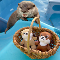 【NEW】Otter Hana Plush Mascot Keychain