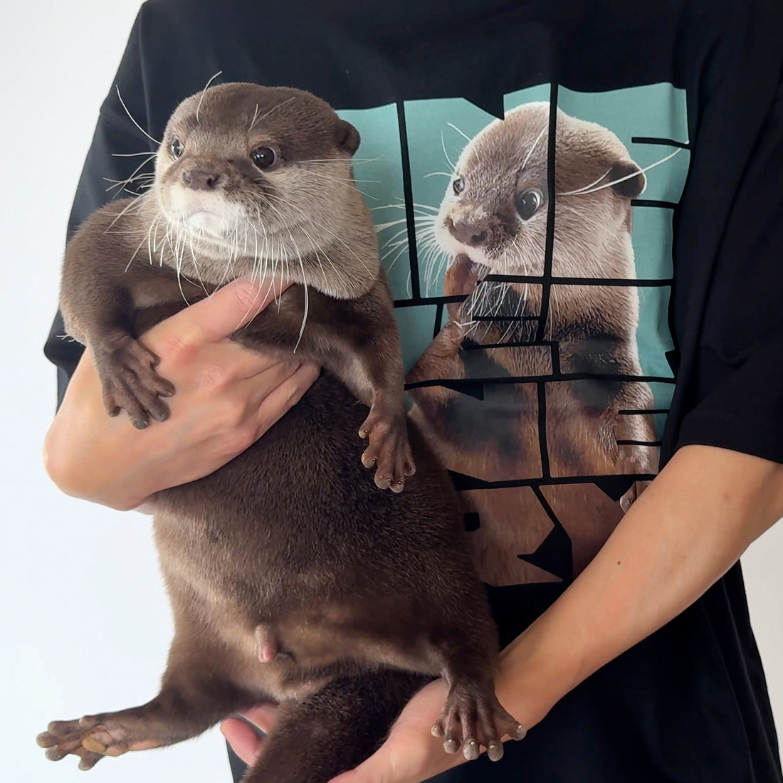 【NEW】ONE WET ONE DRY T-Shirt