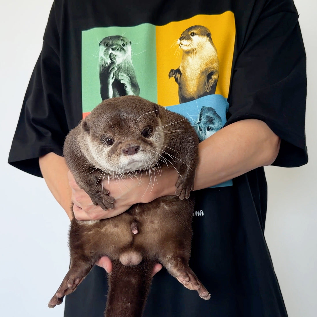 【NEW】Kotaro & Hana Pop Art T-Shirt (Black)