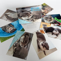 【NEW】KOTSUMET Postcard Book Vol. 3