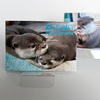 【NEW】KOTSUMET Postcard Book Vol. 3