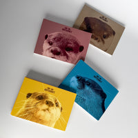 【NEW】KOTSUMET Postcard Book Vol. 4