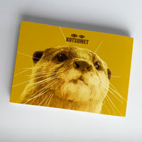 【NEW】KOTSUMET Postcard Book Vol. 4