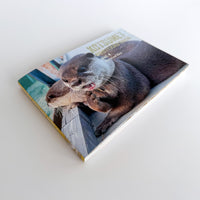 【NEW】KOTSUMET Postcard Book Vol. 4