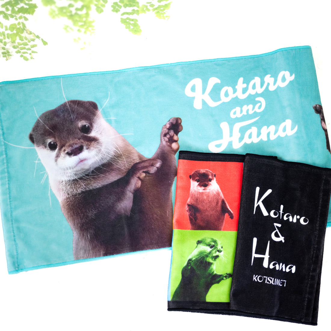 【NEW】カワウソコタロー&ハナ　今治タオル２枚セット