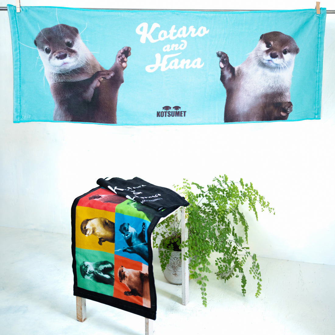 【NEW】カワウソコタロー&ハナ　今治タオル２枚セット