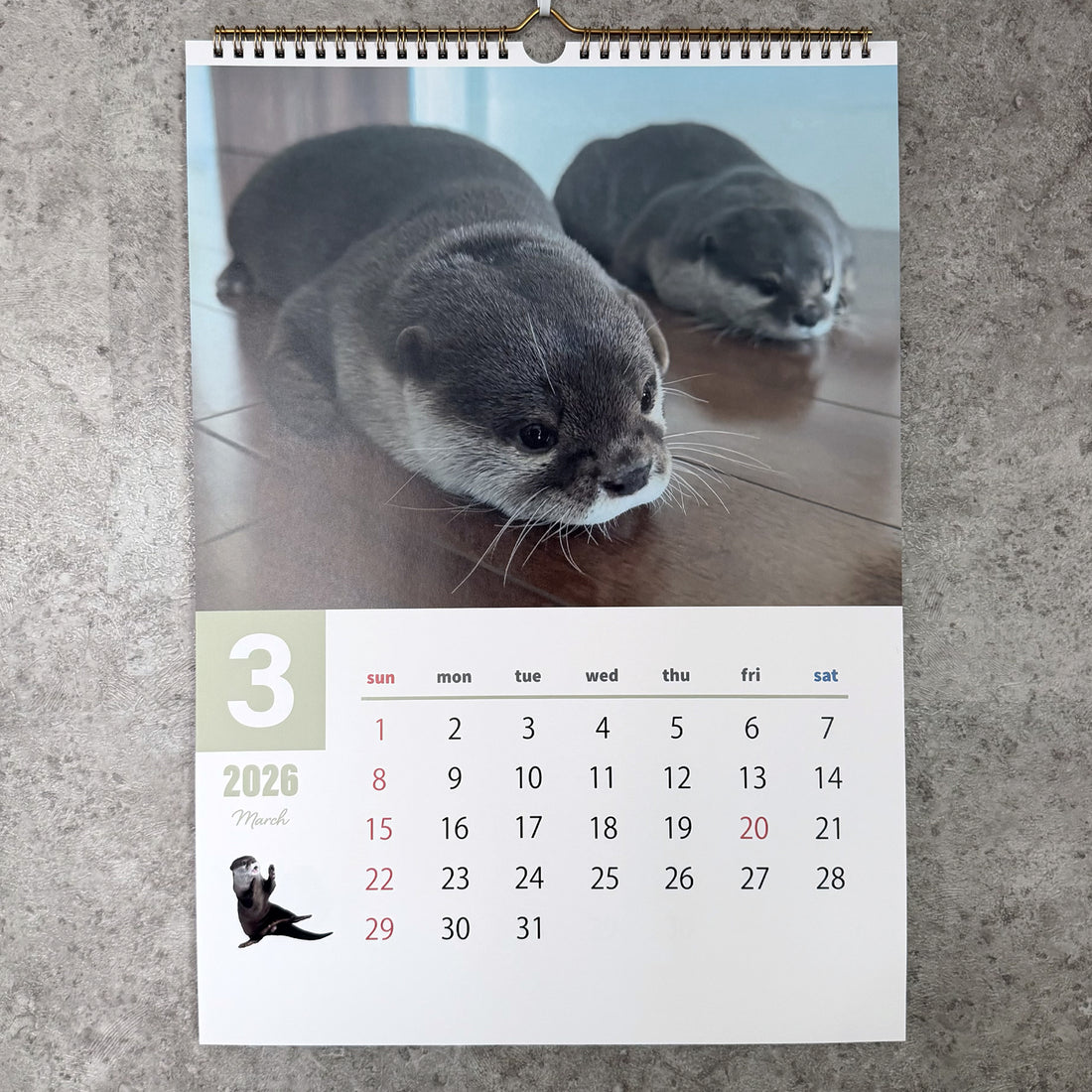 【NEW】カワウソコタロー&ハナ 壁掛けカレンダー2026