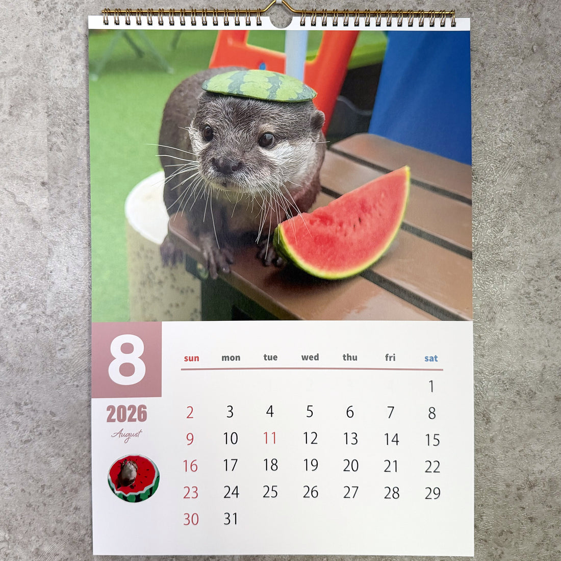 【NEW】カワウソコタロー&ハナ 壁掛けカレンダー2026