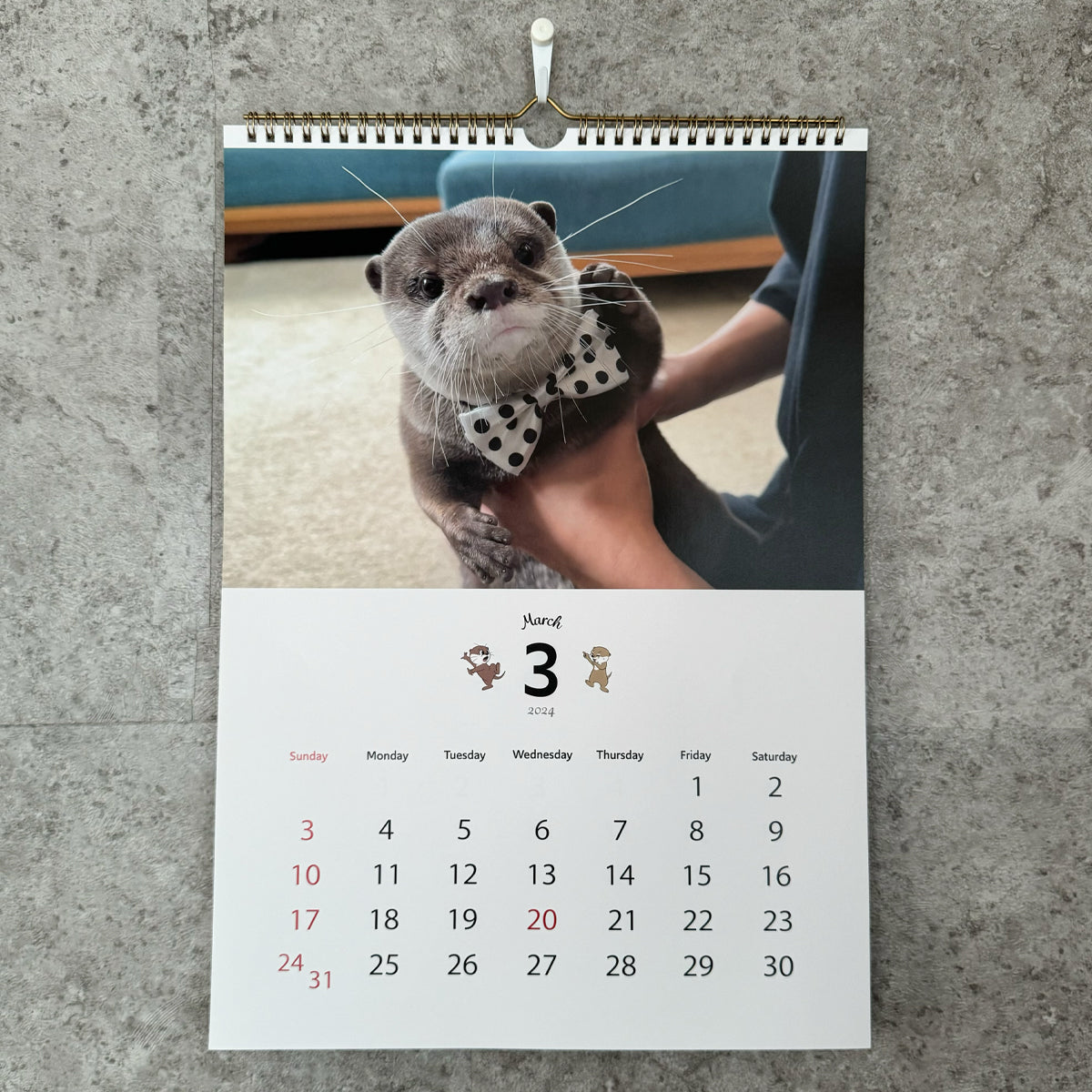 OTTER KOTARO&HANA 2024 WALL CALENDAR – KOTSUMET OFFICIALSTORE